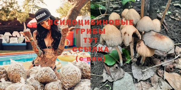 mdpv Аша