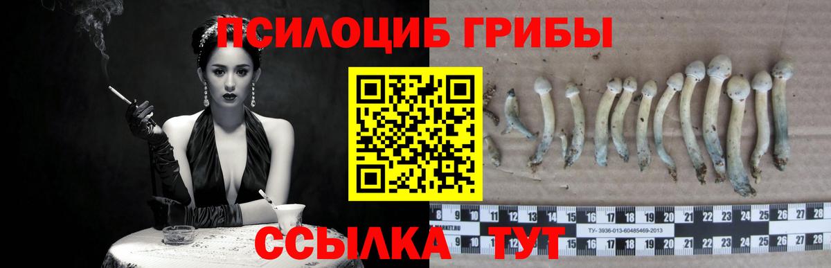 Североуральск  Галлюциногенные грибы Cubensis  Вход с VPN  Псилоцибиновые грибы MAGIC MUSHROOMS 